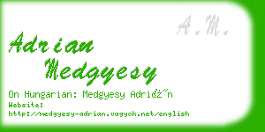 adrian medgyesy business card